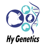 Hy Genetics